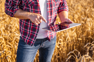 iPad in field